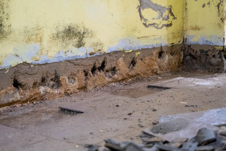 A severely damaged interior wall showing signs of dampness and mold.の写真素材