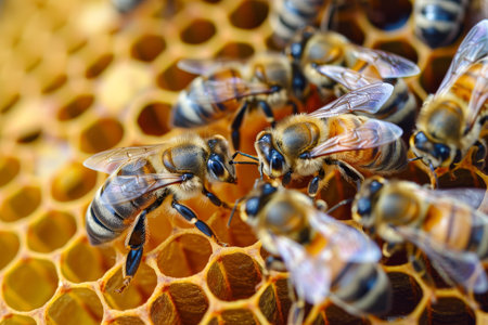 Bees busily work on a detailed honeycomb, capturing the essence of teamwork and nature.の素材