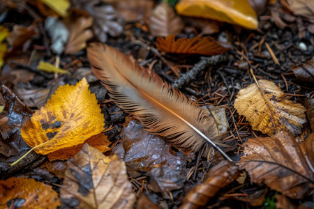 A white feather lies on the mossy forest floor bathed in the golden rays of morning sunlight.の素材