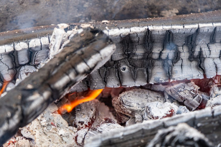 The Intricate Dance of Flames in a Wood Burning Fireplace