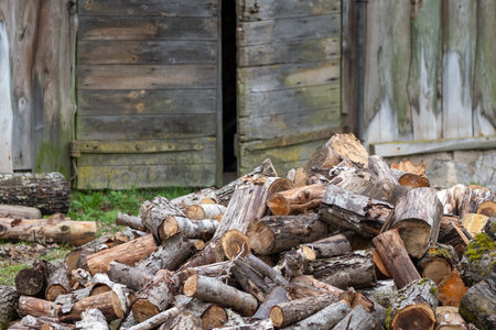 A stack of logs lies by a wooden structure amidst grassy soil