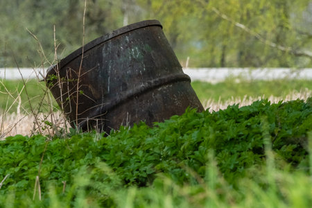 An old, rusty bucket, engulfed by vibrant greenery, showcases natures reclaiming power and the passage of time.の写真素材