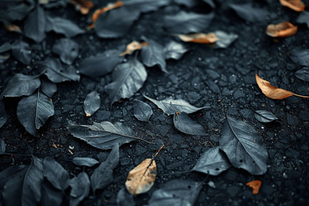 A close-up of various leaves scattered on a dark, wet ground, highlighting the contrast between the leaves and the surface.の素材