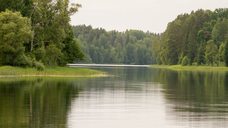 A serene lake with calm waters reflecting the dense surrounding forest, highlighting the tranquil beauty of nature. Lake Vaidavaの写真素材