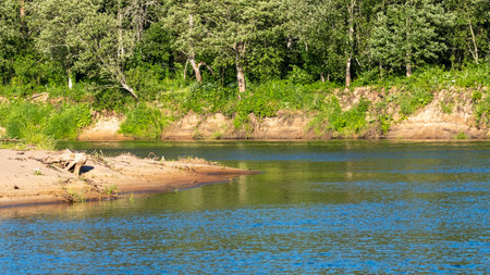 Scenic riverbank featuring lush green trees and a sandy shore, capturing the serene beauty of a natural landscape in summer. river Gaujaの写真素材