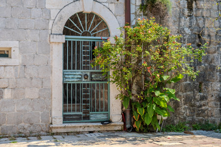 An arched stone doorway with a decorative metal gate, framed by green plants and flowers, against an old stone wall in sunlight.の写真素材