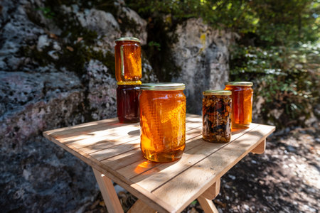 Close-up of jars filled with honey, honeycomb, and nuts displayed on a wooden table in a natural outdoor setting.の写真素材