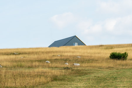 A solitary house with a metal roof sits partially hidden in a vast, dry grassy field under a bright sky, creating a peaceful rural scene.の写真素材