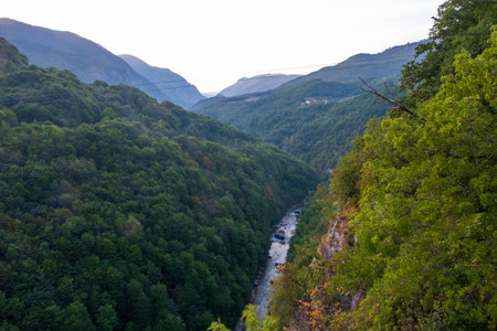 A lush green forested valley with a winding river cutting through, surrounded by distant mountains under a soft, hazy sky.の写真素材