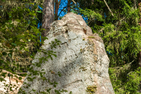 A large weathered rock with faint inscriptions stands amidst a dense forest, surrounded by lush greenery and trees.の写真素材