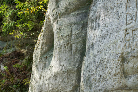A weathered cliff face featuring faint carvings, surrounded by lush forest greenery, showcasing natural erosion and human markings.の写真素材