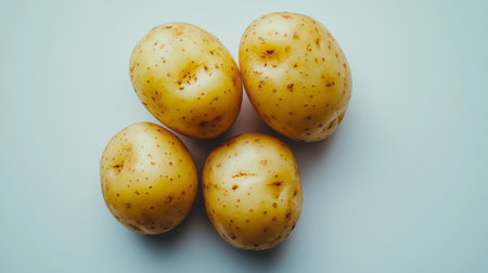 Close-up of four fresh potatoes on a light background, highlighting their natural texture and skin imperfections.の素材