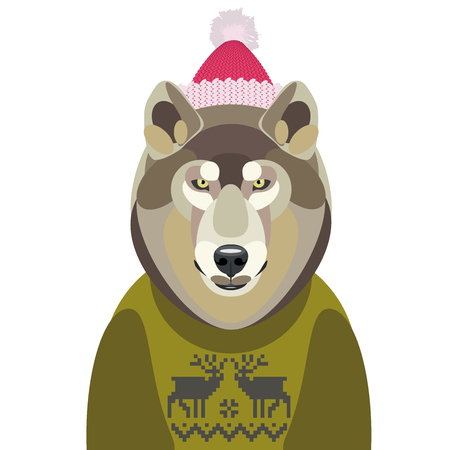 Christmas vector illustration of cute wolf in a sweater and hat on white backgroundのイラスト素材