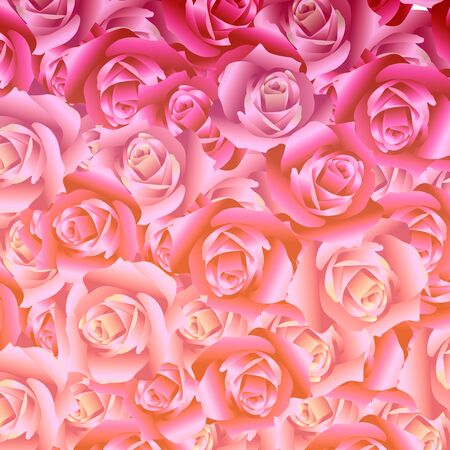 bouquet of roses backgroundの写真素材