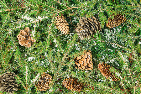 Creative composition of Christmas tree branches, cones. The theme of Christmas and New Year. Flat...