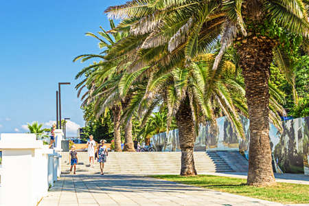 People walk in the summer near the big palm trees.の写真素材