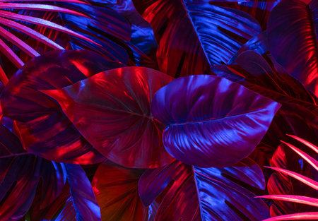 Aesthetic background in a frame of leaves, neon botanical design.Abstract natural background.
