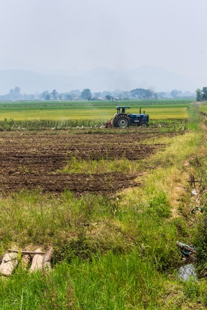 Agriculture plowing tractor on wheat cereal fieldsの写真素材