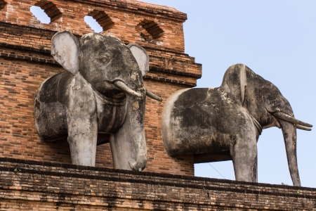Elephant Statue , Wat chedi luang temple in Thailandの写真素材