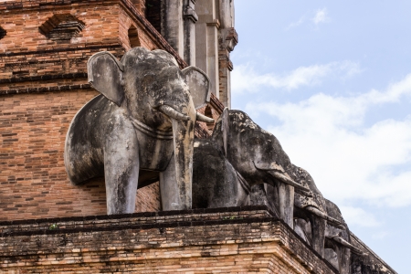 Elephant Statue , Wat chedi luang temple in Thailandの写真素材