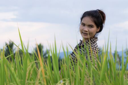 Woman farmer in Green Cornfieldの写真素材