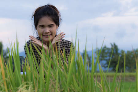 Woman farmer in Green Cornfieldの写真素材