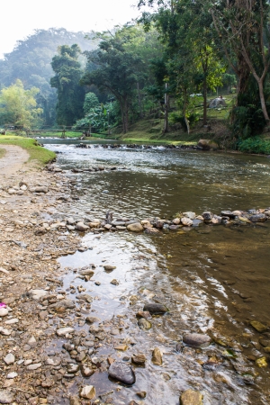 Maetakhrai national park in Chiangmai Thailandの写真素材