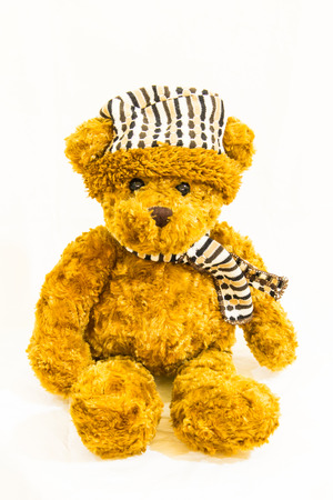 Small Teddy Bear Dollの写真素材