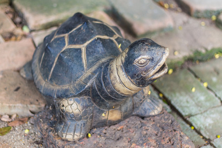 Turtle statue in the gardenの写真素材