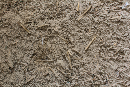 soil wall textureの写真素材