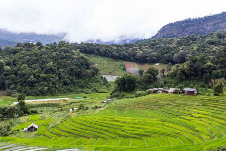 Terraced Rice Field, Pha Mon Chiangmai Thailandの写真素材