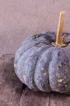 Art Photo pumpkin still lifeの写真素材