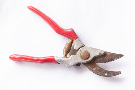 Old pruning  shears  isolated on whiteの写真素材