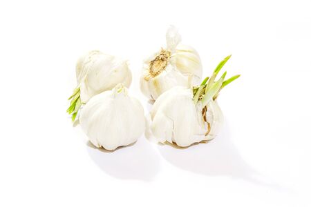 Garlic Isolated on white backgroundの写真素材