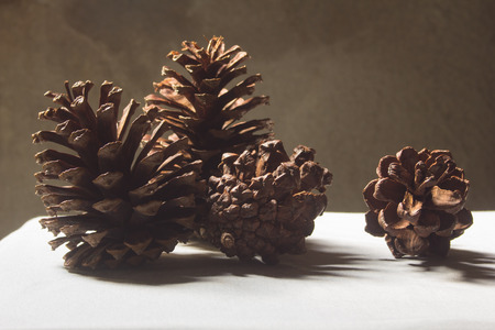 Pine cones chrismas still lifeの写真素材