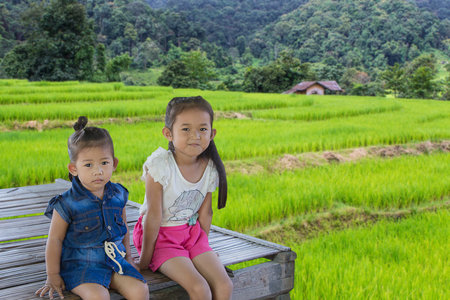 Two Asian girl at green Rice Terraces in Doi inthanon, Maeglangluang Chiangmai Thailandの写真素材