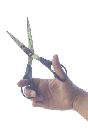 Hand holding black old scissors for dressmaking isolated on white backgroundの写真素材