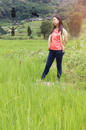 asian woman at Terraced Rice Field Pha Mon with social network of friends and clients , Chiangmai Thailandの写真素材