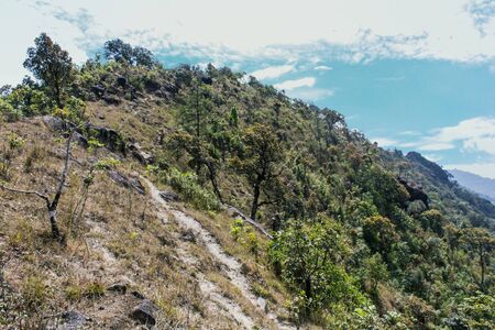 mountain  in doi inthanon, Chiangmai Thailandの写真素材