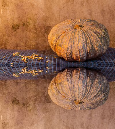 Still Life - Pumpkin And Pumpkin Seeds with water reflectionの写真素材