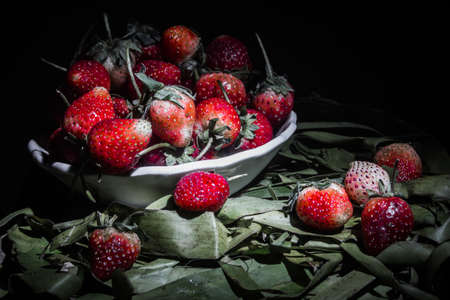 Fresh Strawberry in cup on banana leaf still life painting lightの写真素材