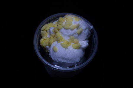 Thai style coconut ice cream with Peanuts Isolated on blackの写真素材