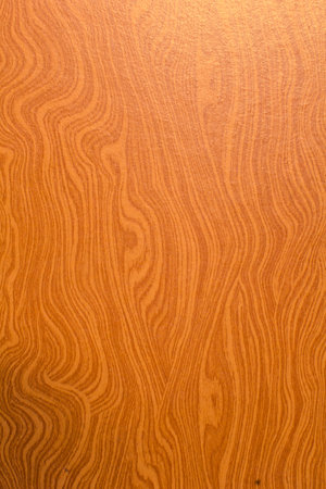Plywood texture abstract background woodの写真素材