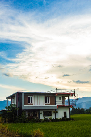 House in green rice fieldの写真素材