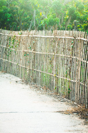 Dry bamboo fence with Roadの写真素材