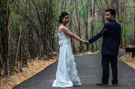 asia marry wed on road in bamboo forestの写真素材
