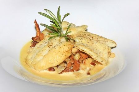 Fish filletの写真素材