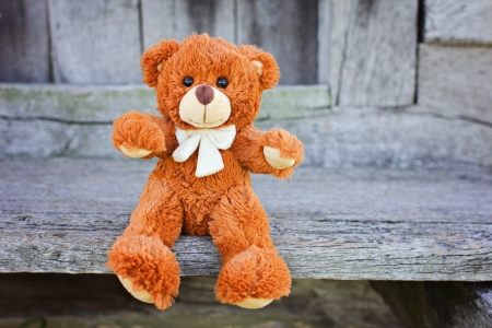 Plush Teddy Bear toyの写真素材