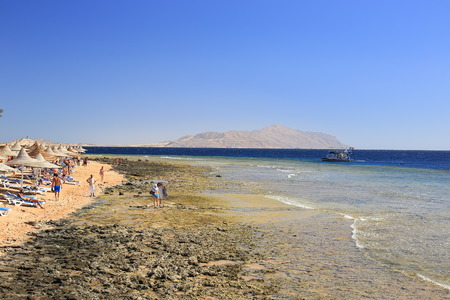Sea beach in Egyptの写真素材