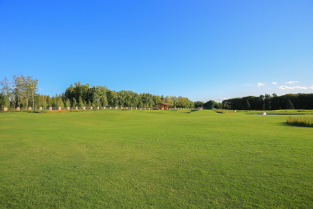 Golf courseの写真素材